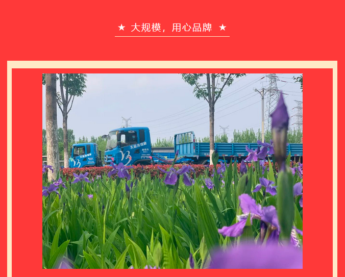 【濟(jì)寧大運(yùn)河駕?！恐戮磩趧?dòng)者，小車價(jià)學(xué)大車，報(bào)名就現(xiàn)在！ (圖3)
