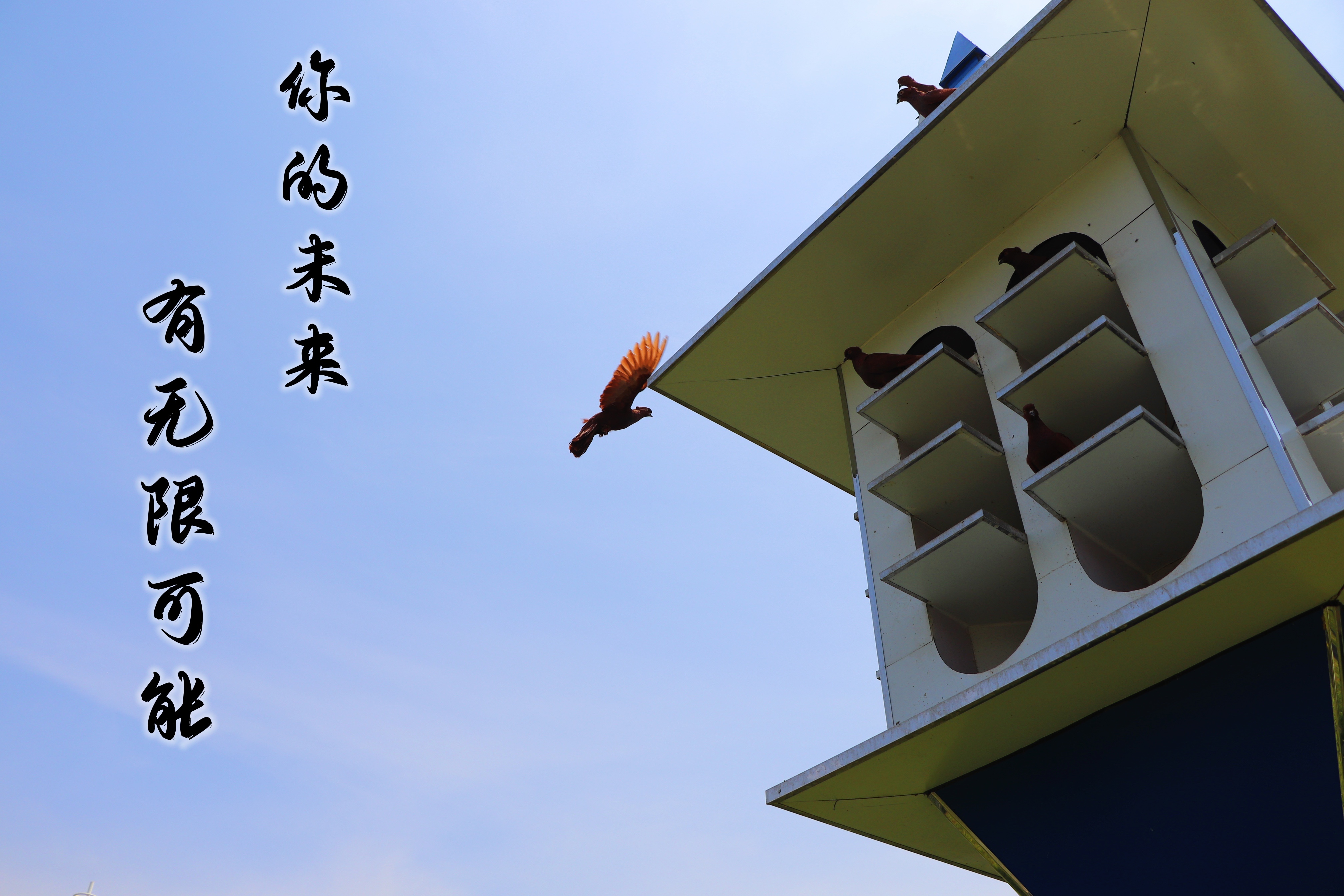 【濟(jì)寧大運(yùn)河駕?！壳の炊?，超越自我無悔青春！(圖3)