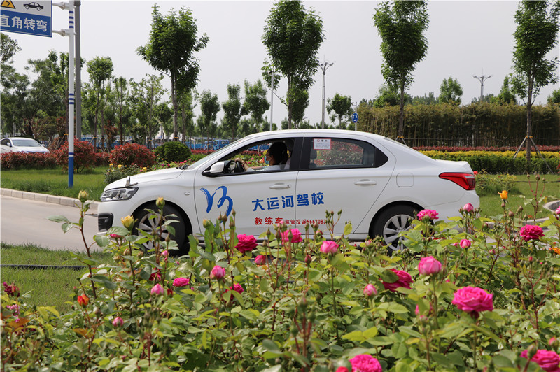 【濟(jì)寧大運(yùn)河駕校】學(xué)小車(chē)選C1還是C2？別糾結(jié)，看這里~(圖1)
