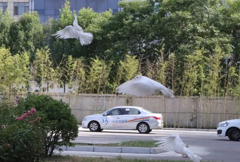 【濟(jì)寧大運(yùn)河駕?！拷鹎锞旁聦W(xué)車季，期待與您的相遇~(圖2)