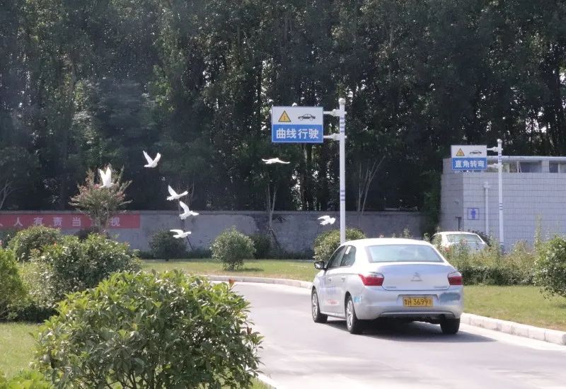 【濟(jì)寧大運(yùn)河駕校】金秋九月學(xué)車季，期待與您的相遇~(圖3)