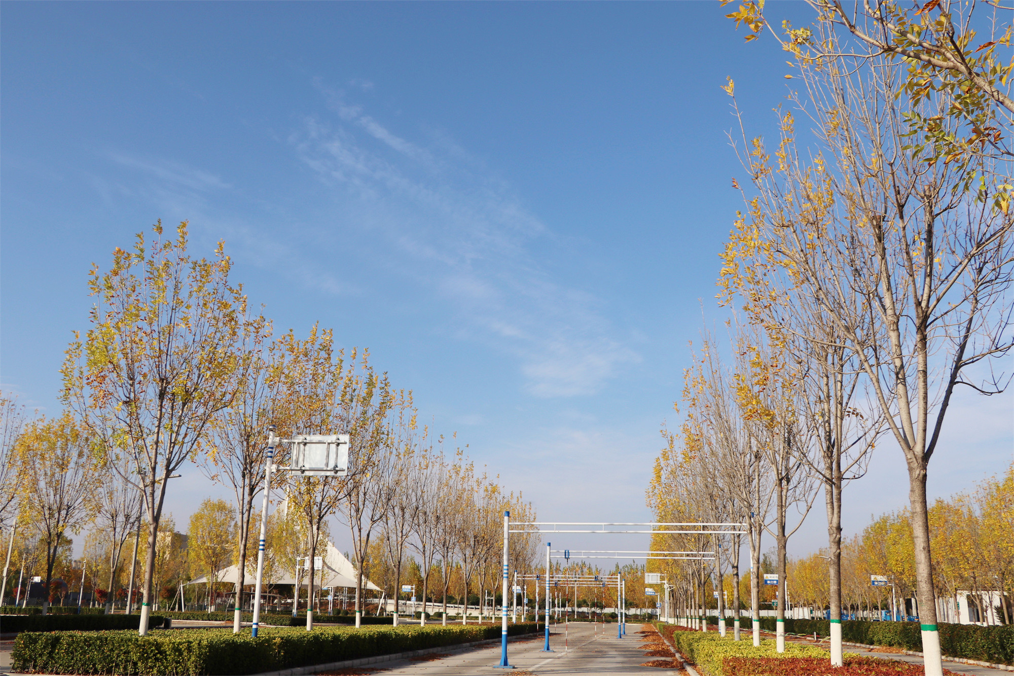 【濟(jì)寧大運(yùn)河駕校】捕捉駕校亮麗風(fēng)景，定格最美初冬校園~(圖19)