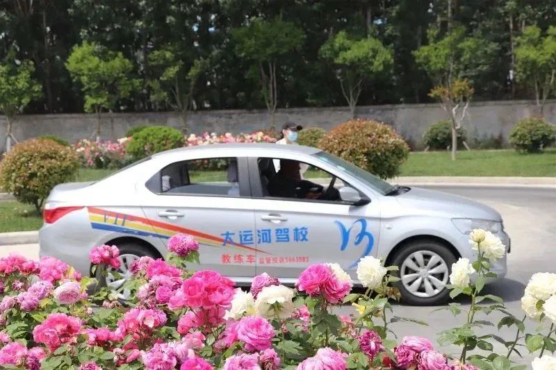 【濟(jì)寧大運(yùn)河駕?！康谑畬谩皩W(xué)車夏令營(yíng)”火爆開啟！(圖2)