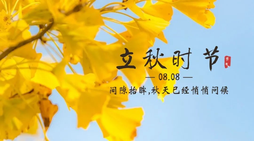 【濟寧大運河駕校】保留夏的熱情，奔向收獲的秋天！(圖3)