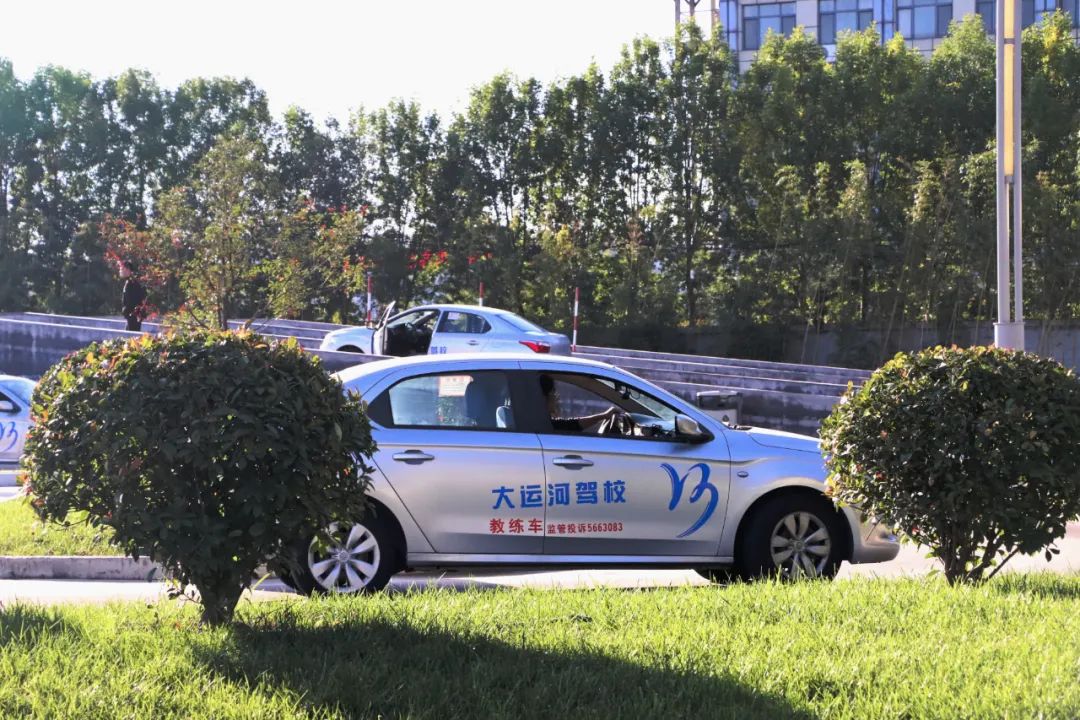 【濟(jì)寧大運(yùn)河駕?！坎鸥型砬?，忽而立冬丨共賞校園初冬美景~(圖7)