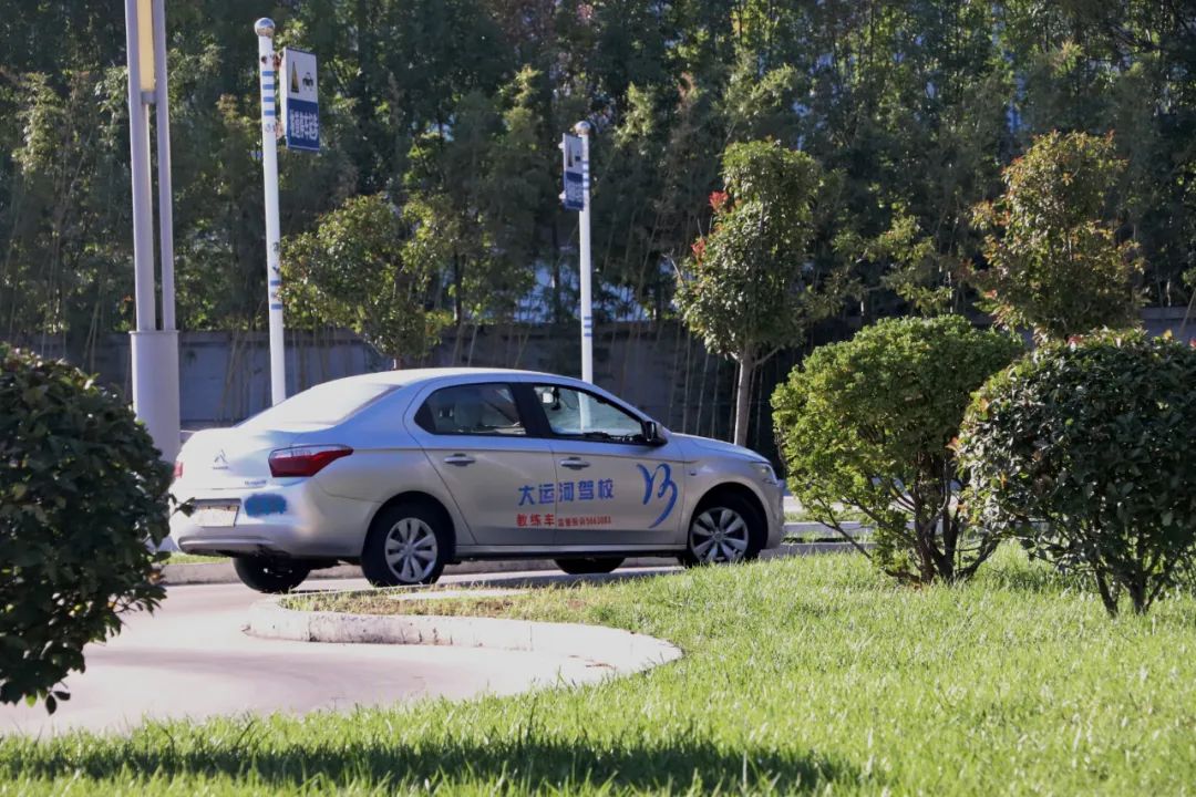 【濟(jì)寧大運(yùn)河駕?！坎鸥型砬?，忽而立冬丨共賞校園初冬美景~(圖10)