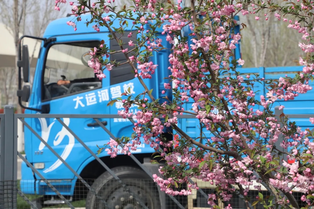 【濟(jì)寧大運河駕?！坎回?fù)好春光，學(xué)車正當(dāng)時！(圖2)