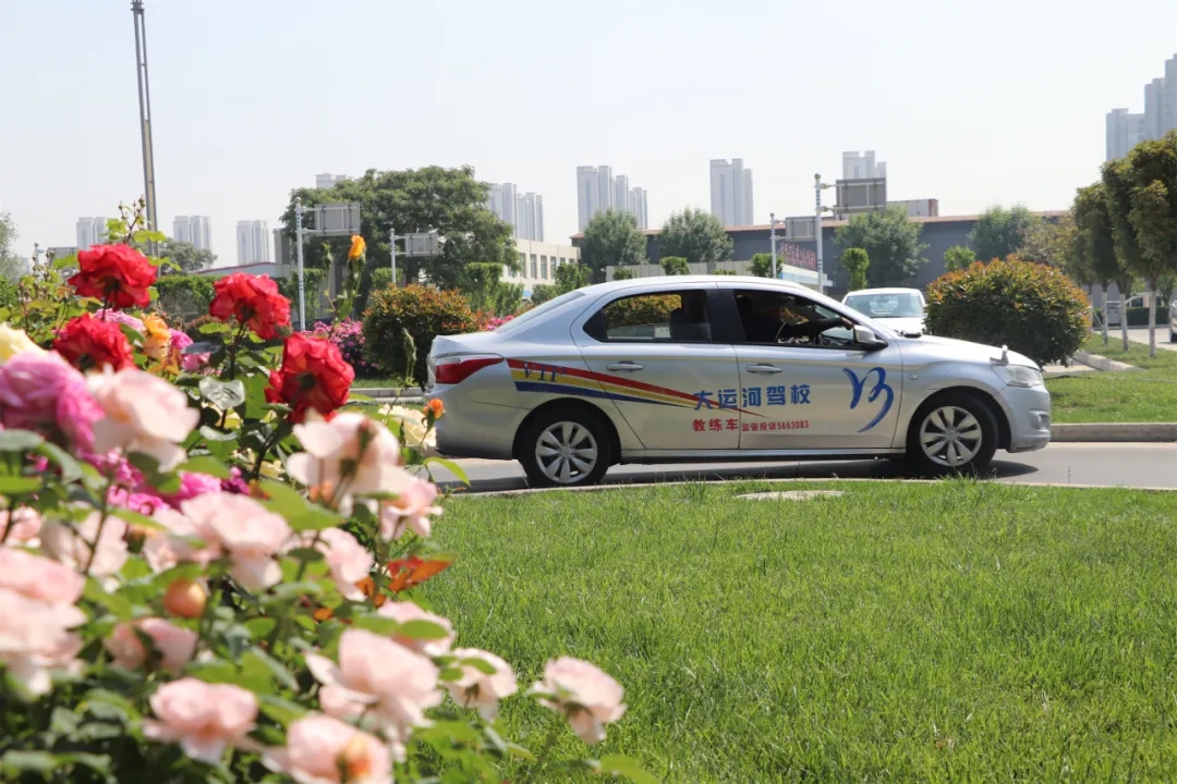 【濟(jì)寧大運(yùn)河駕校】“初夏”小美好，五月學(xué)車正當(dāng)時(shí)~(圖2)